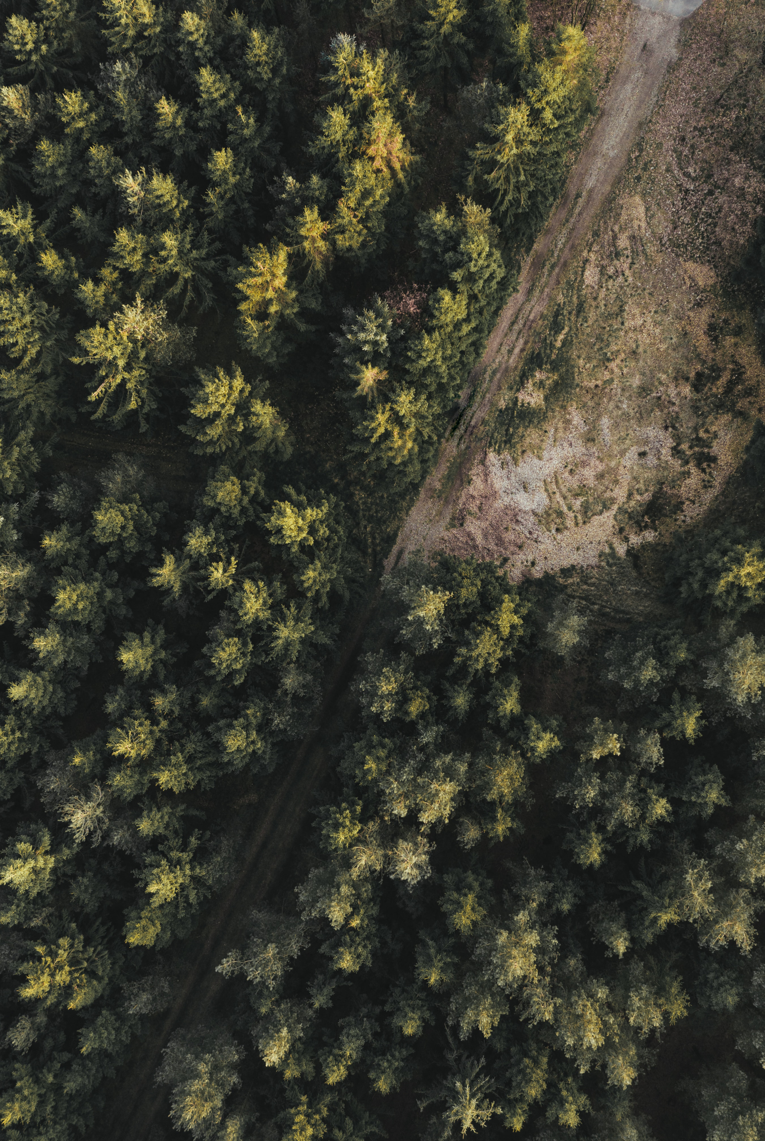 Vegetation<br />
Management