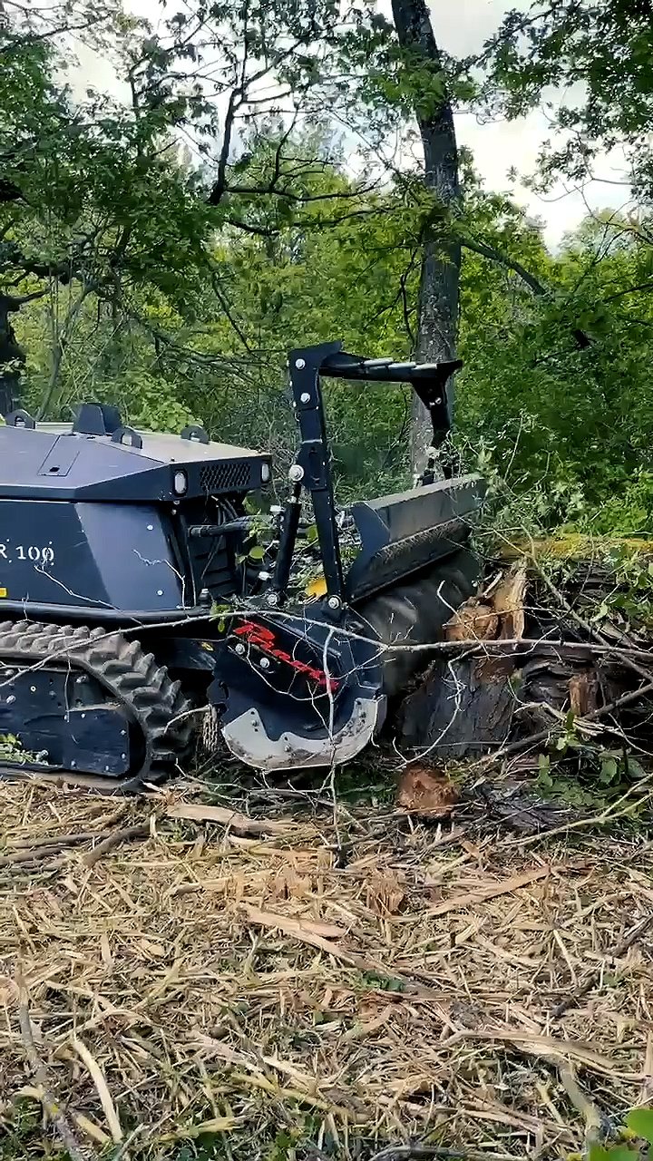 VEGETATION<br />
MANAGEMENT VEGETATION<br />
MANAGEMENT