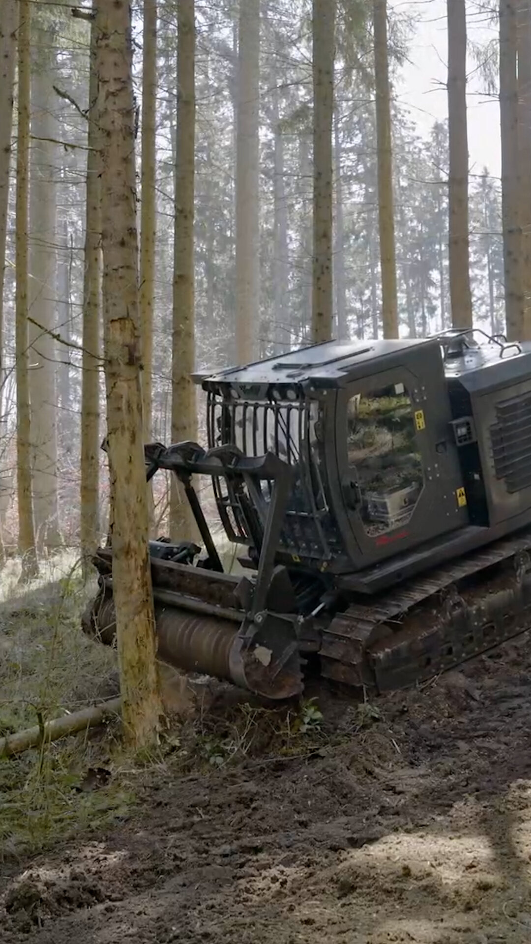 GESTION DE LA VÉGÉTATION